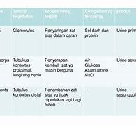 Filtrasi Tempat Terjadinya