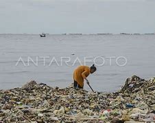 Limbah Organik Yang Banyak Ditemukan Di Daerah Pesisir